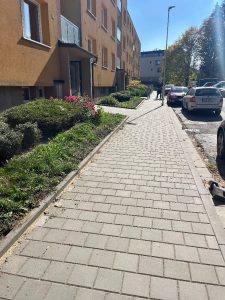 Rekonstrukce chodníku Mendlova ulice (2)